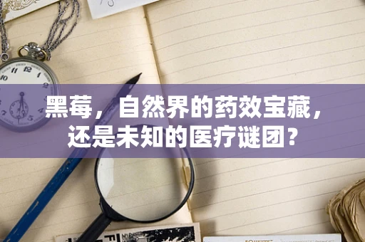 黑莓，自然界的药效宝藏，还是未知的医疗谜团？