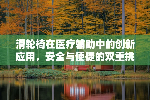 滑轮椅在医疗辅助中的创新应用，安全与便捷的双重挑战