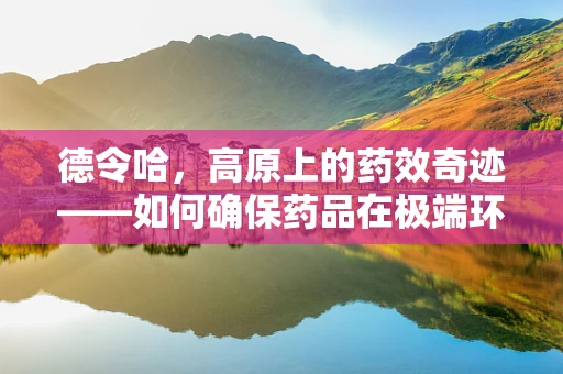 德令哈，高原上的药效奇迹——如何确保药品在极端环境下的稳定？