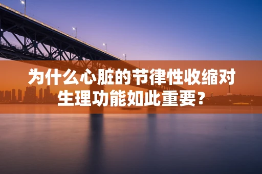 为什么心脏的节律性收缩对生理功能如此重要？