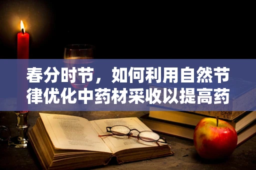 春分时节，如何利用自然节律优化中药材采收以提高药效？