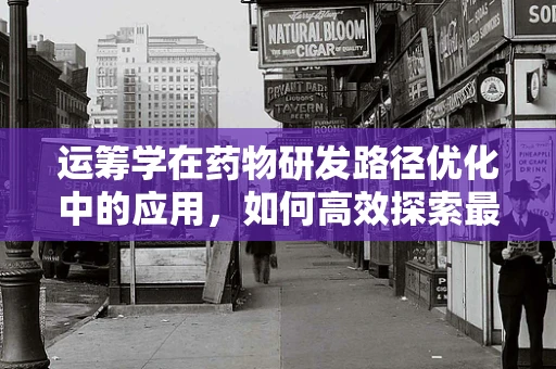 运筹学在药物研发路径优化中的应用，如何高效探索最佳配方？