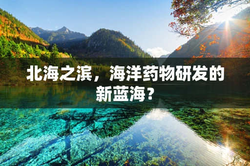 北海之滨，海洋药物研发的新蓝海？