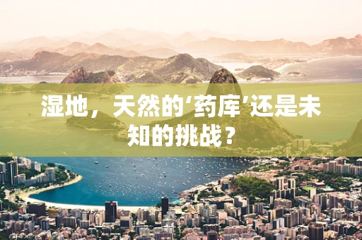 湿地，天然的‘药库’还是未知的挑战？