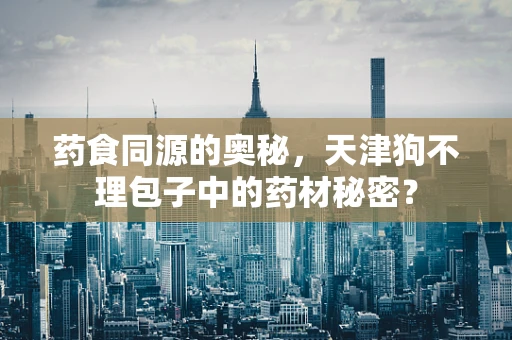 药食同源的奥秘，天津狗不理包子中的药材秘密？