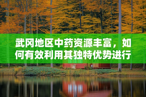 武冈地区中药资源丰富，如何有效利用其独特优势进行新药研发？