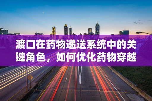 渡口在药物递送系统中的关键角色，如何优化药物穿越生物屏障的航行？