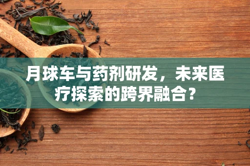 月球车与药剂研发，未来医疗探索的跨界融合？