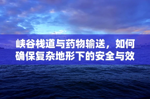 峡谷栈道与药物输送，如何确保复杂地形下的安全与效率？