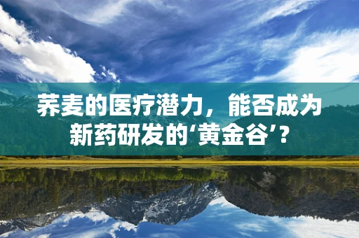 荞麦的医疗潜力，能否成为新药研发的‘黄金谷’？