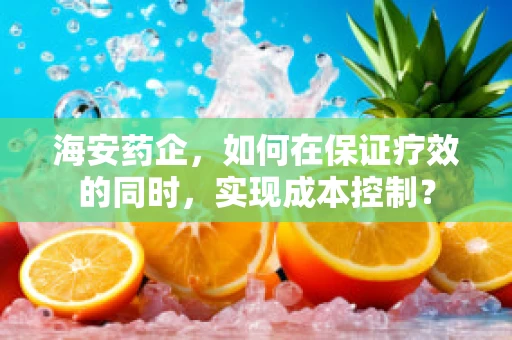 海安药企，如何在保证疗效的同时，实现成本控制？