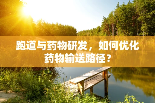 跑道与药物研发，如何优化药物输送路径？