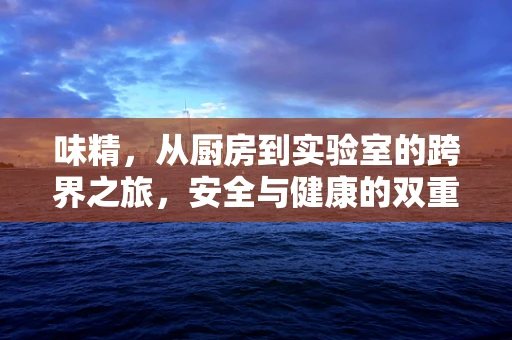 味精，从厨房到实验室的跨界之旅，安全与健康的双重考量