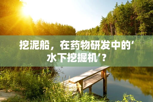 挖泥船，在药物研发中的‘水下挖掘机’？