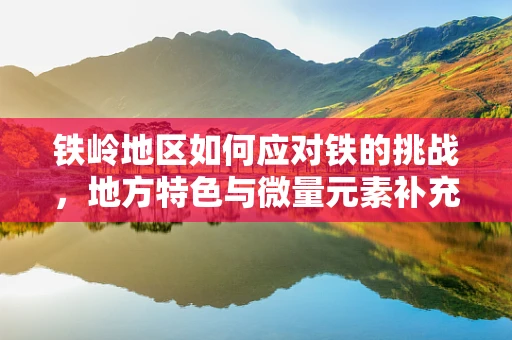 铁岭地区如何应对铁的挑战，地方特色与微量元素补充的平衡策略