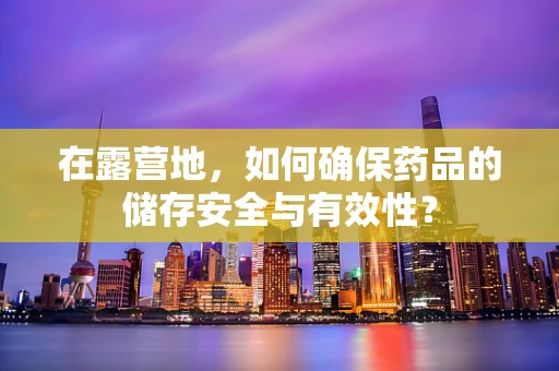 在露营地，如何确保药品的储存安全与有效性？