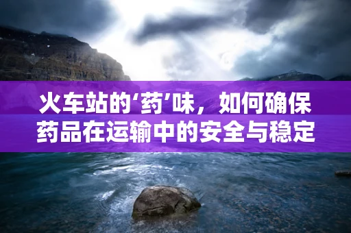 火车站的‘药’味，如何确保药品在运输中的安全与稳定？