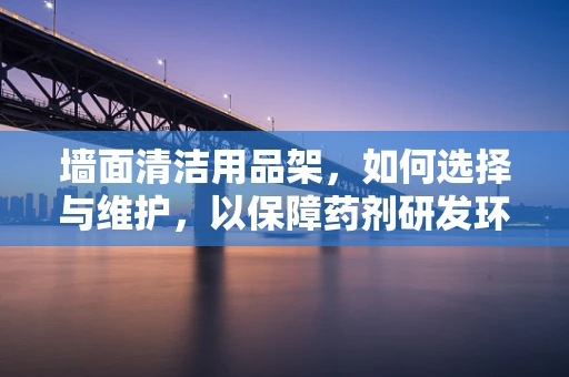 墙面清洁用品架，如何选择与维护，以保障药剂研发环境的洁净？