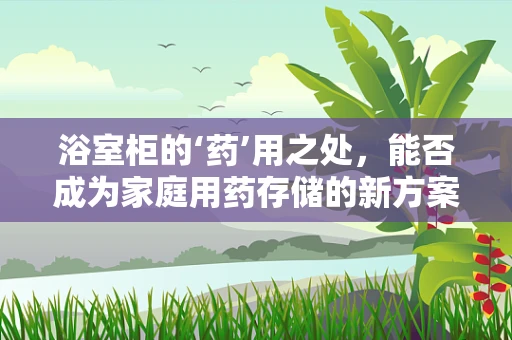 浴室柜的‘药’用之处，能否成为家庭用药存储的新方案？