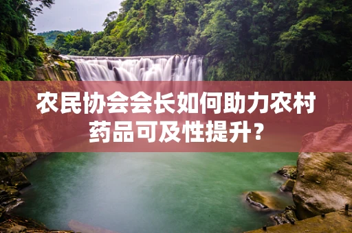 农民协会会长如何助力农村药品可及性提升？