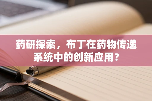 药研探索，布丁在药物传递系统中的创新应用？