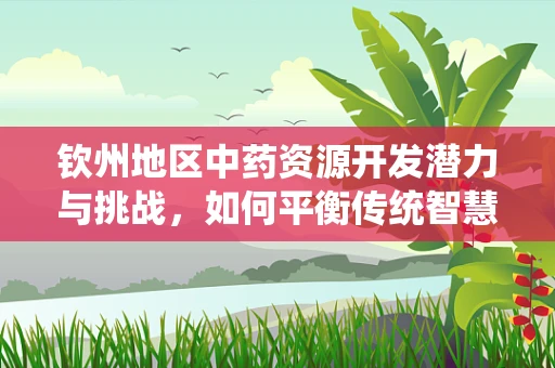 钦州地区中药资源开发潜力与挑战，如何平衡传统智慧与现代科学？