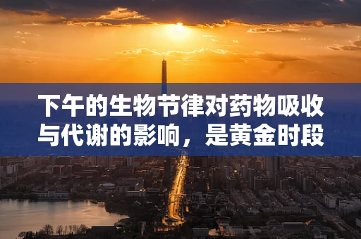 下午的生物节律对药物吸收与代谢的影响，是黄金时段还是挑战时刻？