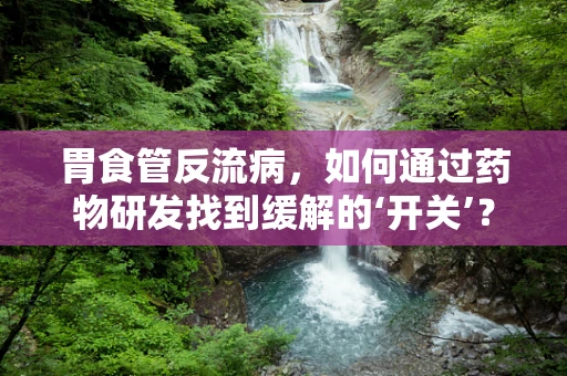 胃食管反流病，如何通过药物研发找到缓解的‘开关’？