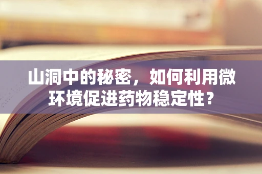 山洞中的秘密，如何利用微环境促进药物稳定性？