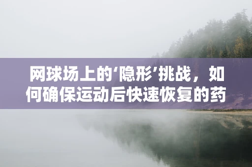 网球场上的‘隐形’挑战，如何确保运动后快速恢复的药品研发？