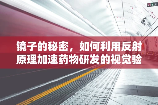 镜子的秘密，如何利用反射原理加速药物研发的视觉验证？