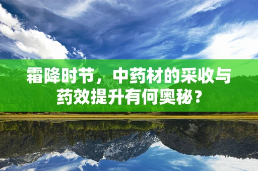 霜降时节，中药材的采收与药效提升有何奥秘？