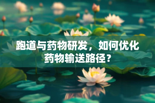 跑道与药物研发，如何优化药物输送路径？